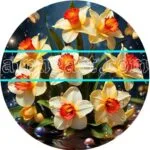 Dafodil Flower Natural Artistic Digital Wall Art Home Decor