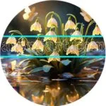 Snowdrop Flower Natural Artistic Digital Wall Art Home Decor