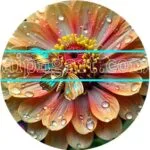 Zinnia Flower Natural Artistic Digital Wall Art Home Decor