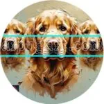 Dog Face Golden Frame Natural Artistic Digital Wall Art Home Decor