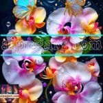 Orchid
  Flower Nature Artistic Digital Wall Art Decor _151