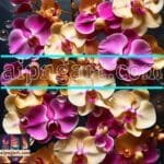Orchid
  Flower Nature Artistic Digital Wall Art Decor _162