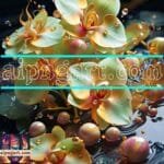 Orchid
  Flower Nature Artistic Digital Wall Art Decor _02