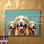 Dog Face Golden Frame Artistic
Digital Wall Art Decor _62